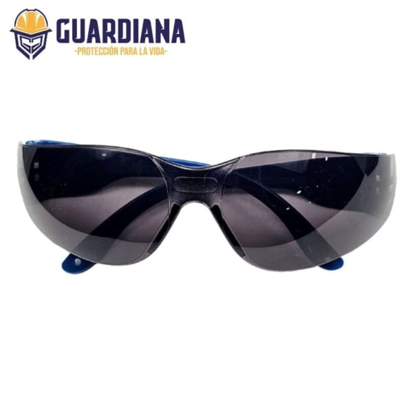 Gafa De Seguridad Oscura